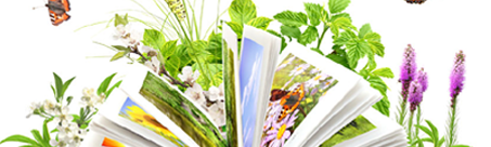 Edukacja wczesnoszkolna